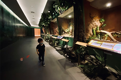 พิพิธภัณฑ์งู, คาเฟ่งู, Siam Serpentarium, ร้านกาแฟ, ซูมซอกแซก