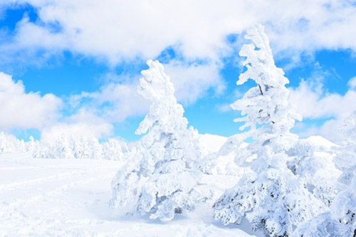 3 พิกัดลานสกีวิวสวยในภูมิภาคโทโฮคุ ไปกับ JR East, ท่องเที่ยว, ญี่ปุ่น, หิมะ, เกาะฮอนชู, ฤดูหนาว, สกีรีสอร์ท, ซูมซอกแซก
