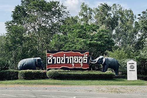 "ส่องสัตว์ป่า" ที่กุยบุรี, ข่าว, อุทยานแห่งชาติกุยบุรี, จุดชมช้างห้วยลึก, ช้างป่า, กระทิง, ซาฟารีเมืองไทย, ประจวบคีรีขันธ์, ซูมซอกแซก